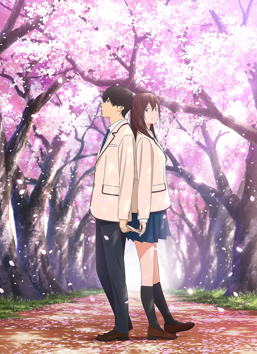 Sakura Yamauchi, Anime Sakura wallpaper ponsel HD