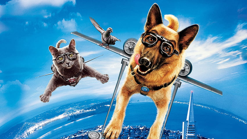 Cat And Dog Cats & Amp Dogs The Revenge Of Kitty Galore HD wallpaper