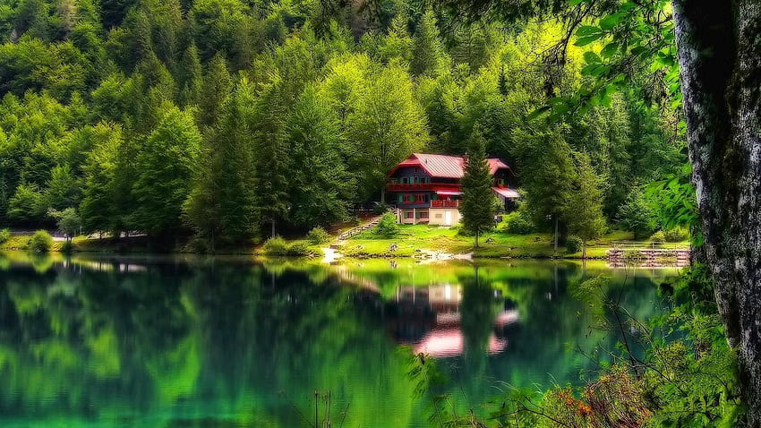 Serenity House, reflection, green, trees, nature, cottage, forest, lake HD wallpaper