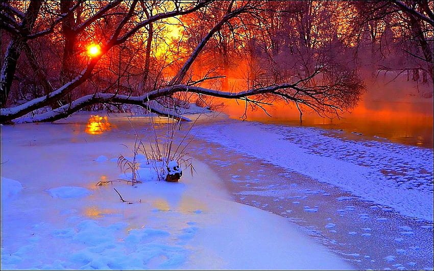 Riverside Winter, trees, sun, snow, sunset HD wallpaper