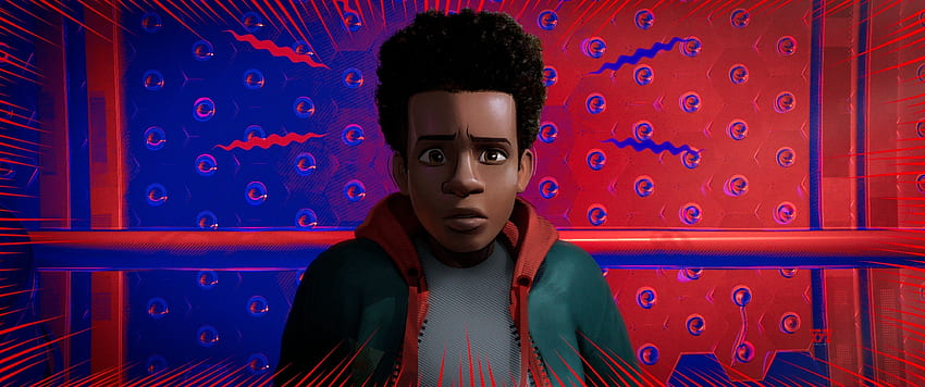 Spider-Man: Into the Spider-Verse, 2018, animation movie HD wallpaper
