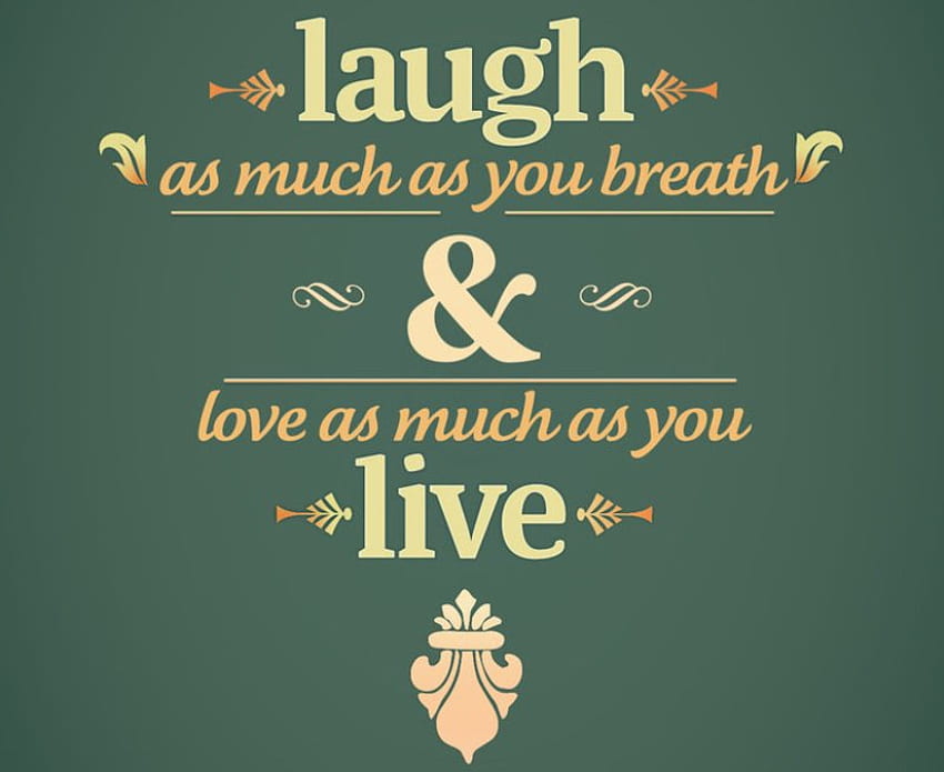LAUGH AND LIVE, words, abstract, letters, green, document HD wallpaper
