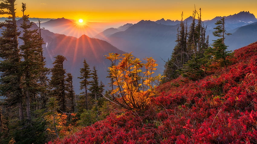Cascade Range, Washington State, sun, mountains, trees, landscape, colors, sky, usa HD wallpaper