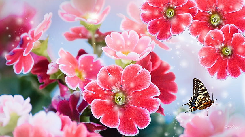 Fiori: Flower Fun Flowers Butterfly Pink Fleur Summer Bright, Spring Dual Screen Sfondo HD