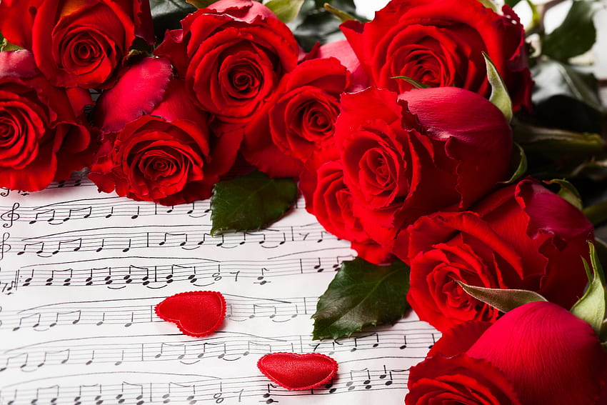 Tag, Blumen, Herzen, Liebe, Musik, Natur, Rot, Valentinstag-Blume HD-Hintergrundbild