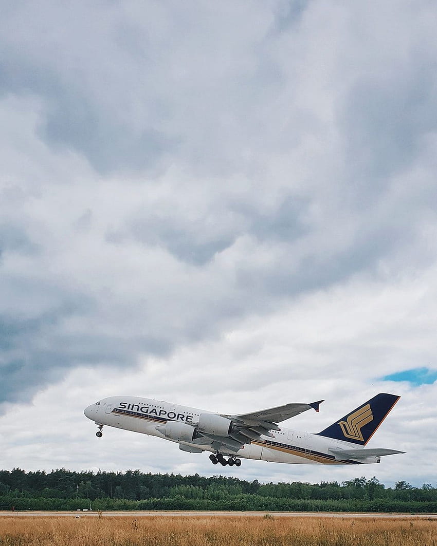 Singapore Airlines HD phone wallpaper