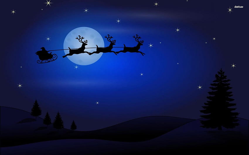 christmas night sky, night, sliegh, reindeer, christmas, sky, santa HD wallpaper