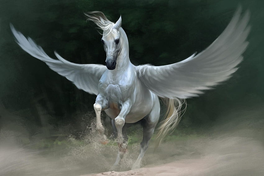 Fantezi, Kanatlar, Ati, Pegasus HD duvar kağıdı