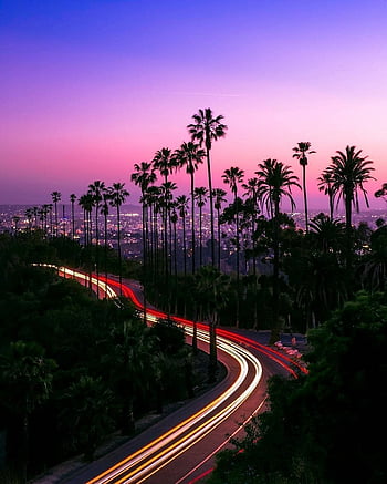 Live life with no excuses, travel with no regret - California sunset palm  trees h. California sunset, California sunset aesthetic, California HD  phone wallpaper | Pxfuel