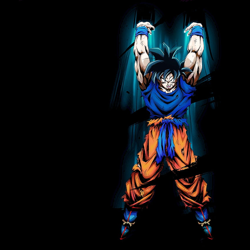 Goku 77.16% True Black Amoled : R DragonballLegends, Goku Oled HD phone wallpaper