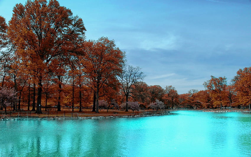 Nature, Trees, Autumn, Park, Blue Water HD wallpaper