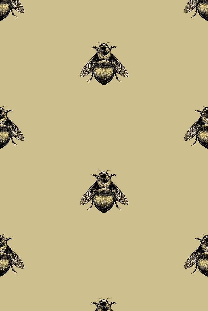 Bee Wallpapers on WallpaperDog