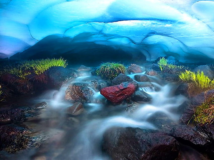 Little brook, blue, foam, plants, brook, water, rocks HD wallpaper
