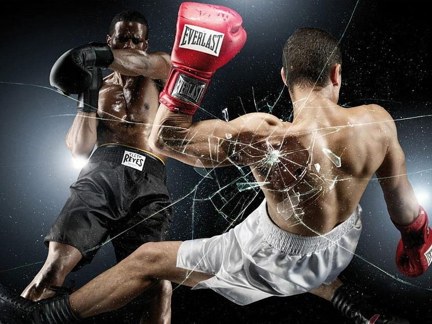 Sports, People, Men, Boxing HD wallpaper