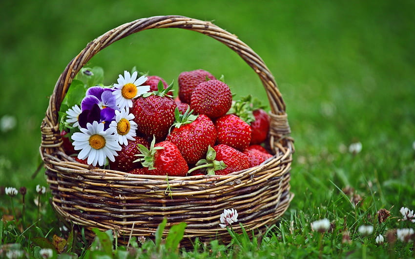 Korb der Liebe, Erdbeere, Grafik, Erdbeeren, schön, Früchte, Gras, Korb, Gänseblümchen, Liebe, Obst, Blumen HD-Hintergrundbild