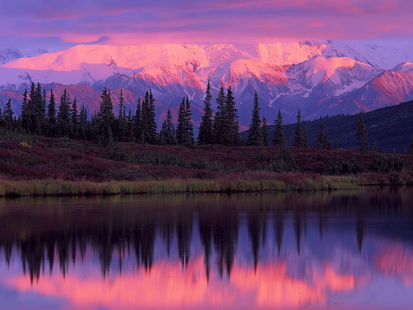 アメリカ合衆国の驚異.. とアラスカ山脈の日没デナリ国立公園、アラスカ州、アメリカ合衆国。 国立公園、アラスカ、美しい風景 高画質の壁紙