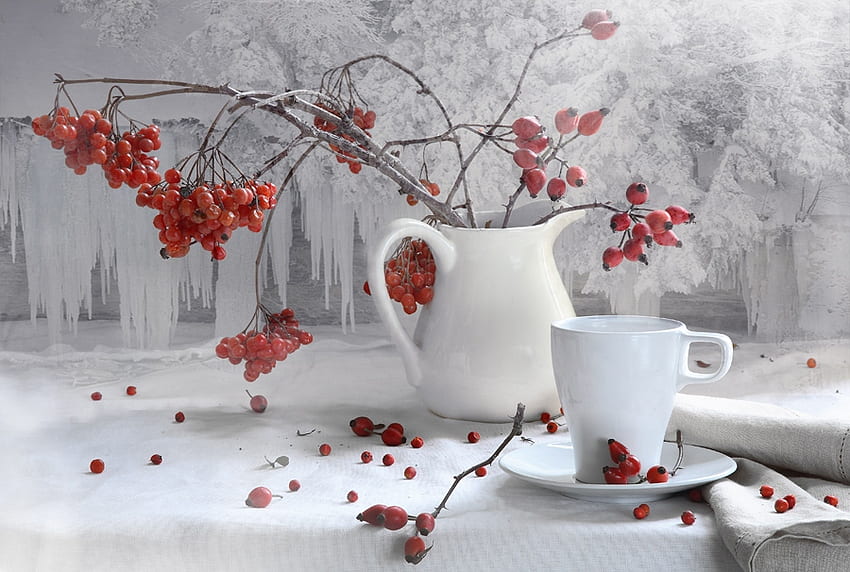 White on white, table, frozen, pitcher, berries, cup, saucer, ice HD wallpaper