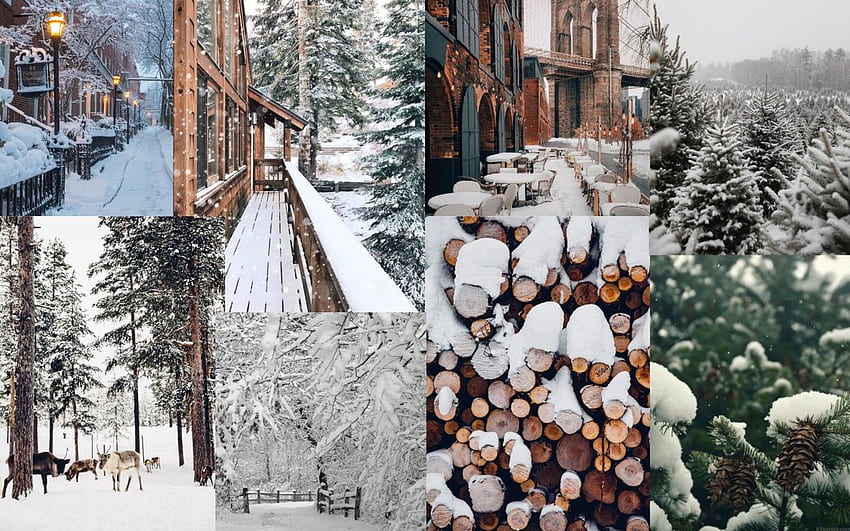 55 Cute Aesthetic Winter Wallpaper Backgrounds  Winter wallpaper Winter  pictures Winter scenes