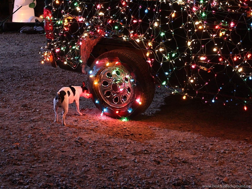 Dog, Car, Christmas Lights Background HD wallpaper