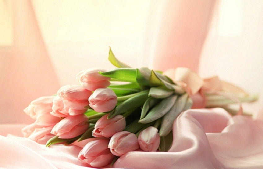 tulipas cor de rosa, natureza morta, rosa, flores, tulipas papel de parede HD