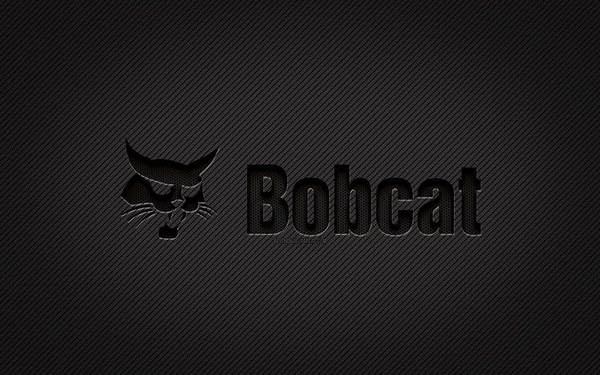 Bobcat carbon logo, , grunge art, carbon background, creative, Bobcat black logo, brands, Bobcat logo, Bobcat HD wallpaper