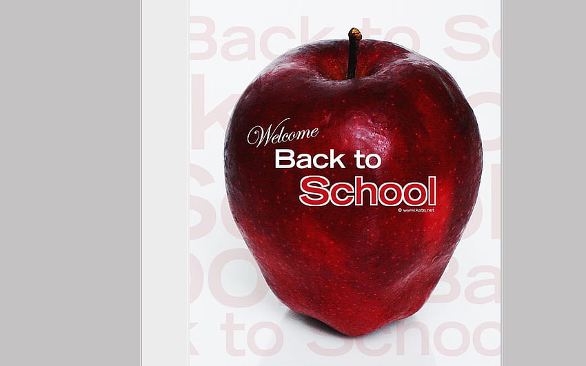 School, Back to School, Welcome Back to School HD wallpaper