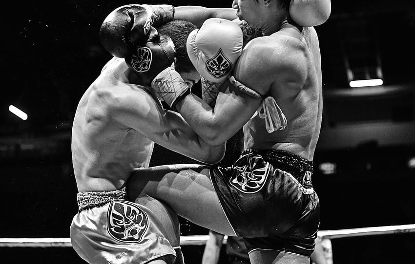Competition, Fight, Muay Thai for HD wallpaper