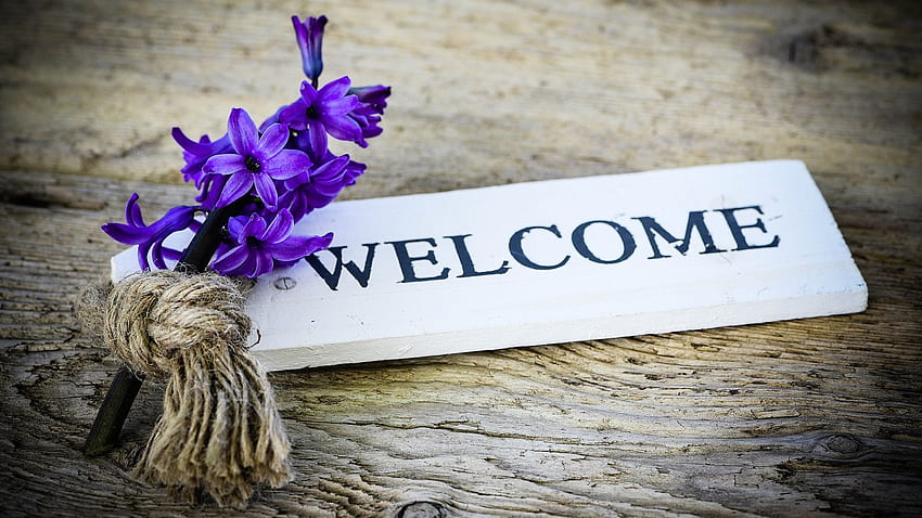 Welcome , table, welcome, graphy, flower HD wallpaper
