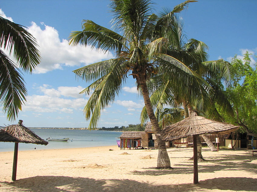 Spiaggia di Ifaty, isola del Madagascar Sfondo HD