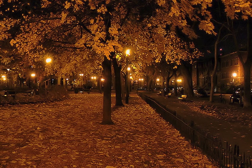 Noite De Outono, Lanterna, Noite, Outono, Árvore papel de parede HD