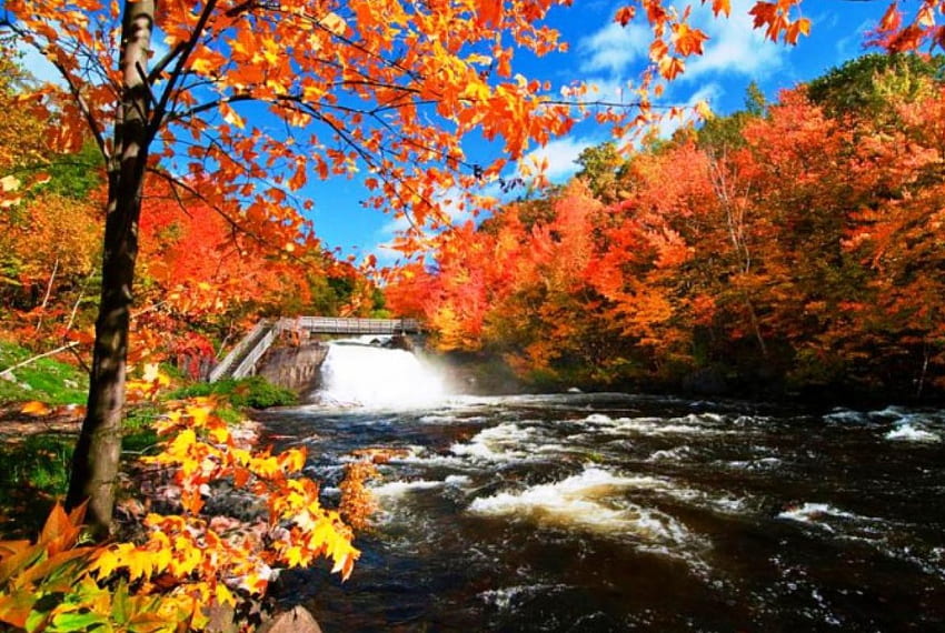 Autumn in Quebec, Canada, leaves, fall, trees, colors, waterfall, bridge, water HD wallpaper