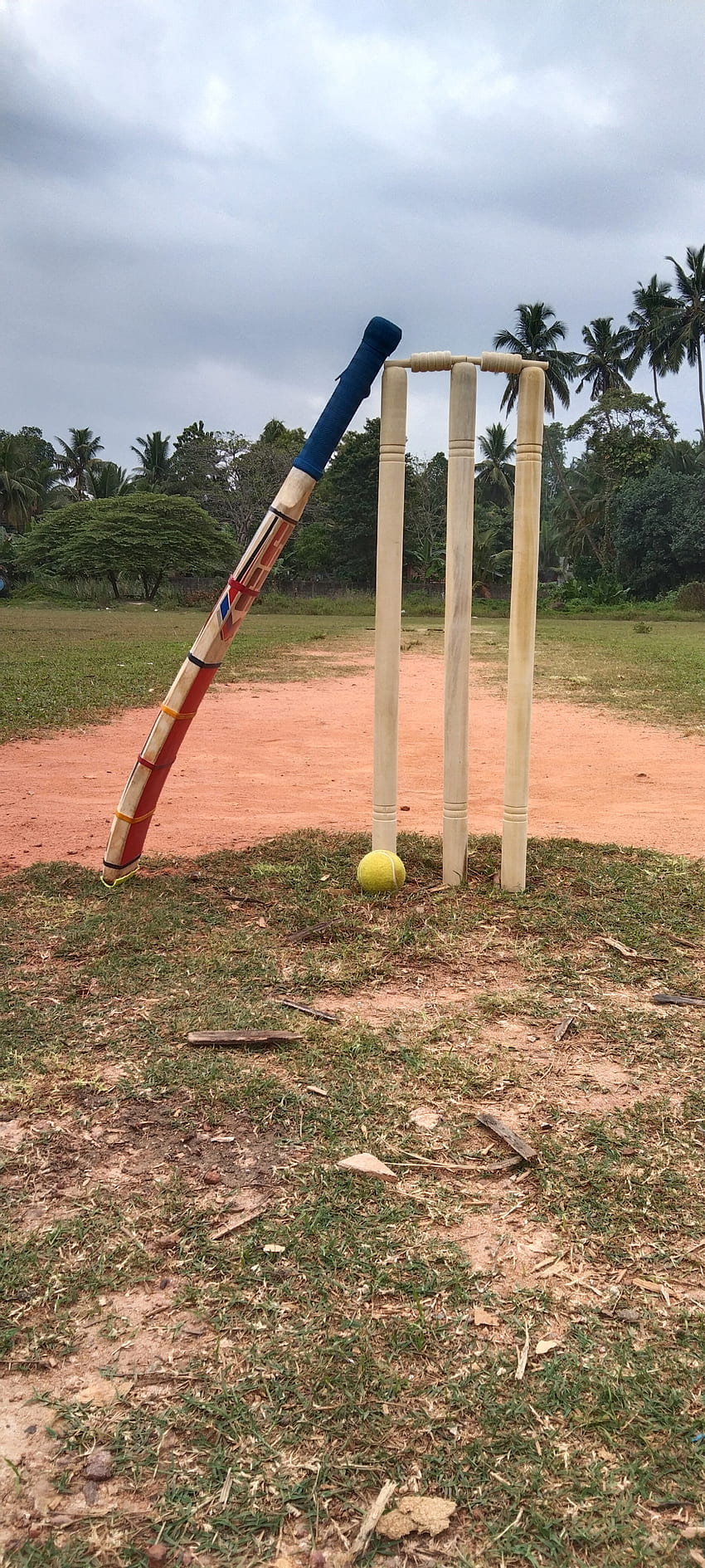 Cricket, ball, cricket_ground, cricket_lover, bat, playground, stumps HD phone wallpaper