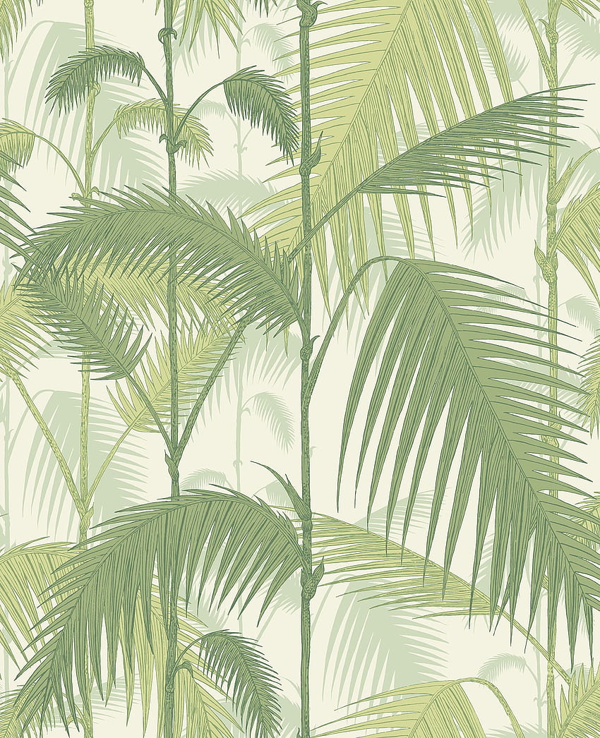 Palmen-Dschungel - Cole & Son – Cole & Son () Ltd, Dschungelgrün HD-Handy-Hintergrundbild