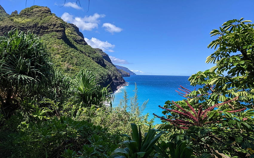 View from Kalaulau Trail, Kauai, Hawaii, mountains, rocks, coast, sea, trees, sky HD wallpaper