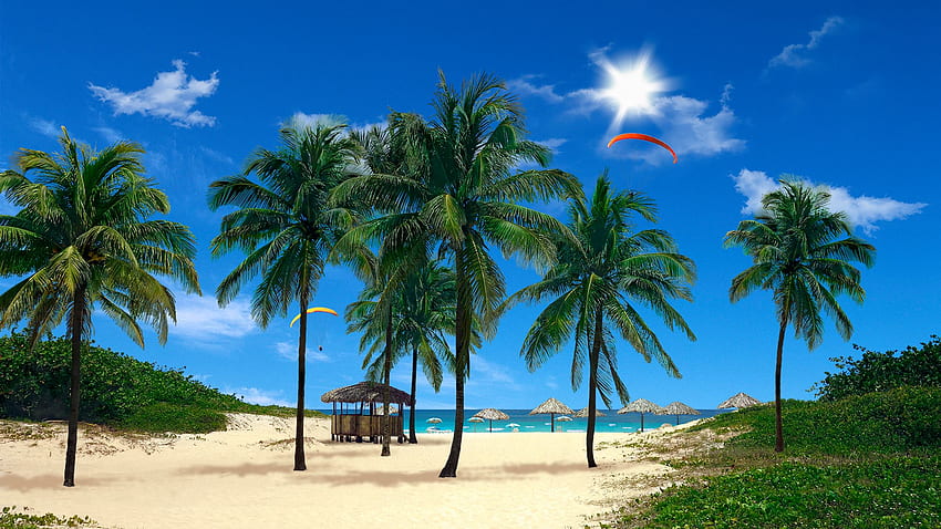 Real Snowfall & Beach Palms 3D are two live to spruce up your phone (review) HD wallpaper