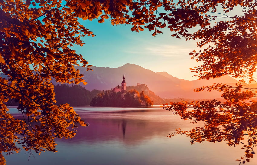 Lac d'automne de Bled, île, automne, belle, arbre, montagne, lac, feuilles, Bled, réflexion, branches, automne, eau, Slovénie, feuillage Fond d'écran HD