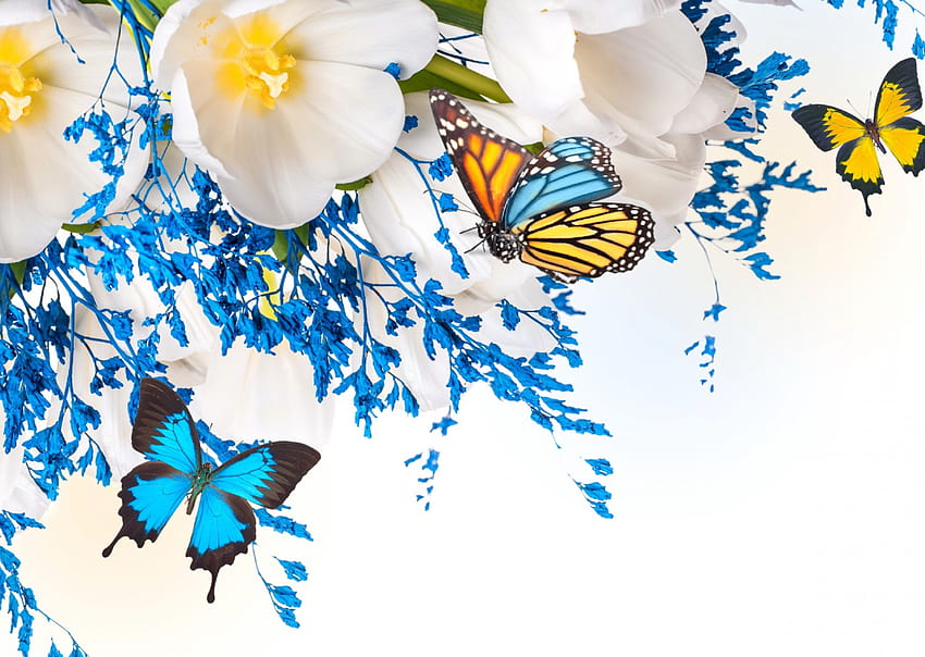 花と蝶、蝶、美しい、花、春、花 高画質の壁紙