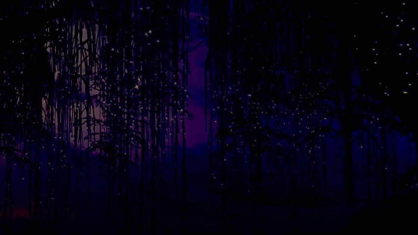 Wallpaper Forest Tree Night