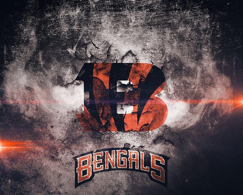 Cincinnati Bengals, Bengals Logo HD wallpaper