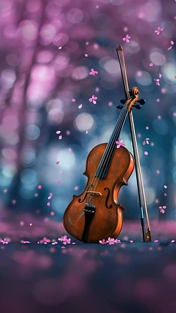 musical instrument violin-Music HD Wallpaper Preview | 10wallpaper.com
