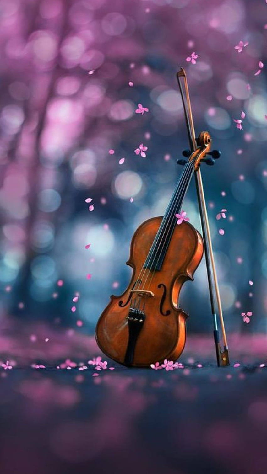 . Violin art, Cool for , Violin graphy, Beautiful Violin HD phone wallpaper