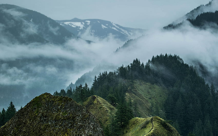 山脈、朝、霧、山の風景、山の霧、森、曇りの天気 高画質の壁紙