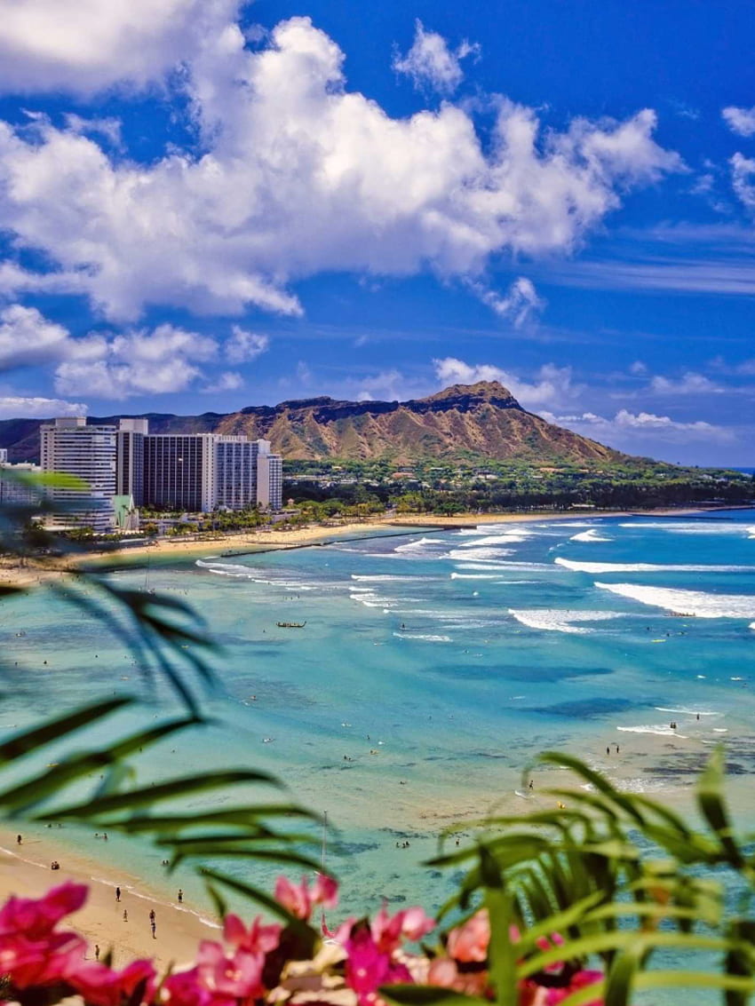 Waikiki Beach Oahu 13com [] per il tuo, cellulare e tablet. Esplora Waikiki Hawaii iPhone. Waikiki Hawaii iPhone , Hawaii per Sfondo del telefono HD