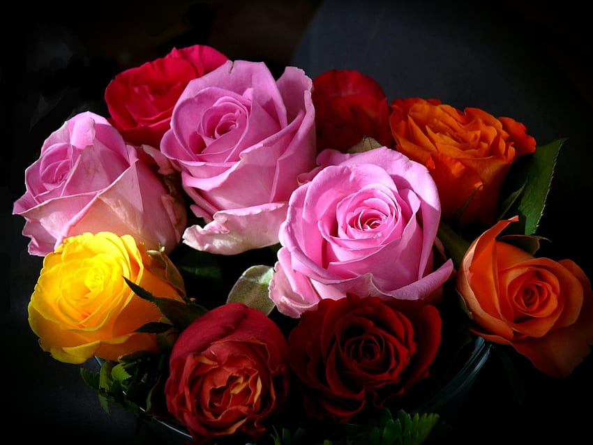 Цветен букет, лилаво, рози, жълто, природа, цветя, оранжево HD тапет