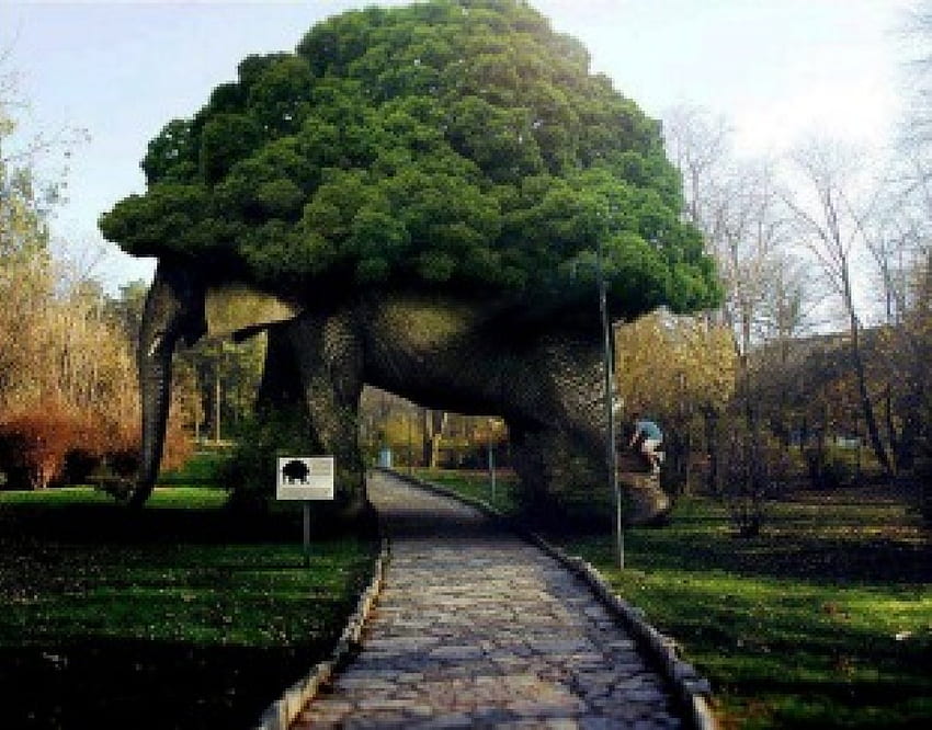elefante gigante, gigantesco, naturaleza, elefante, árbol fondo de pantalla