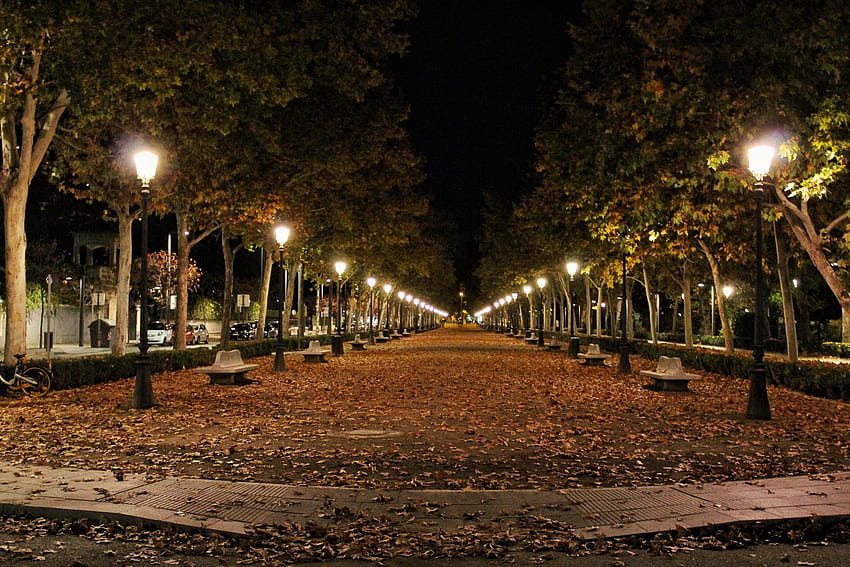 Самотна улица със светлина от лампи - пешеходна пътека през нощта - - HD тапет