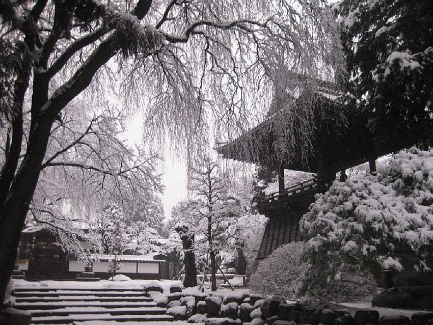 Inverno: Città Tempio Giardino Inverno Natura Iida Neve Giappone Giapponese Sfondo HD