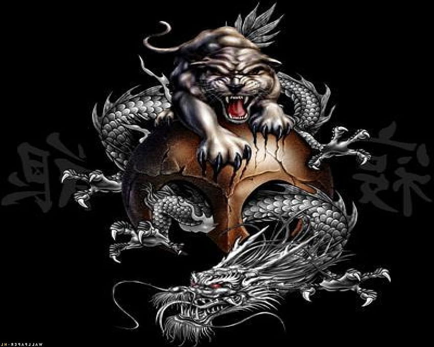Drago Yin Yang Tigre, Drago Cinese e Tigre Sfondo HD