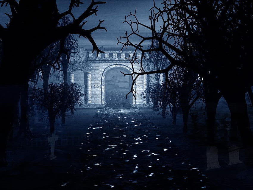 Darkness, horror, forest, dark HD wallpaper