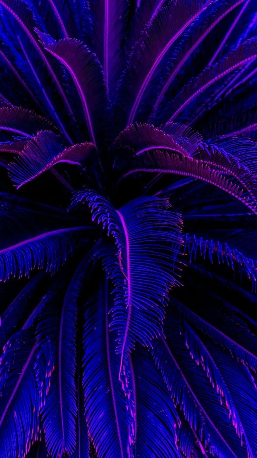 Neon Aesthetic Purple, 1080X1920 Aesthetic HD phone wallpaper